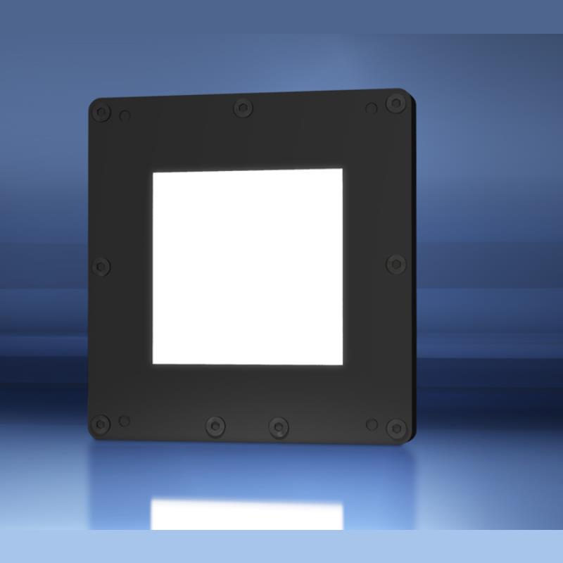 Phlox Llub Phlox Llub