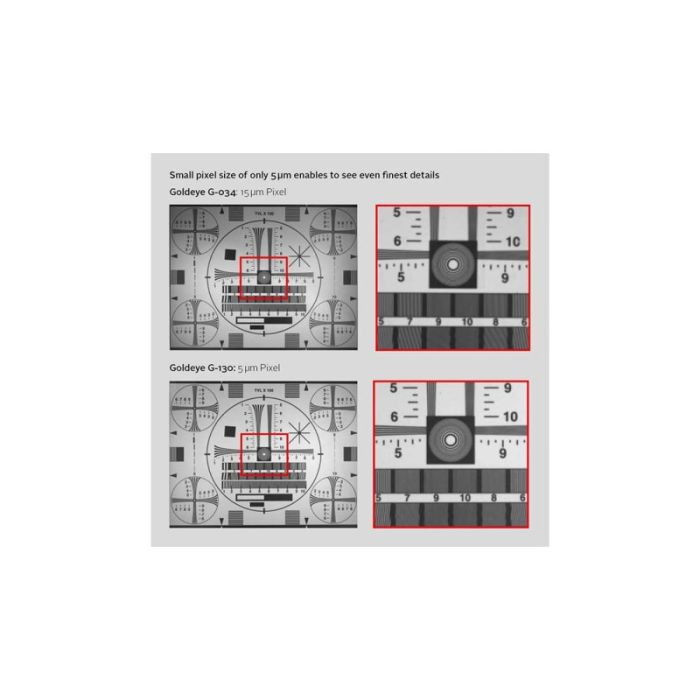 Improvement with AV Goldeye G-130: small pixel size for finest details