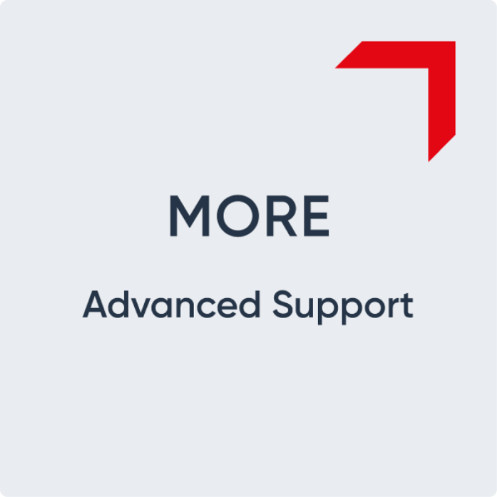 4124_2025-MORE-Engineering-600px_advanced-support