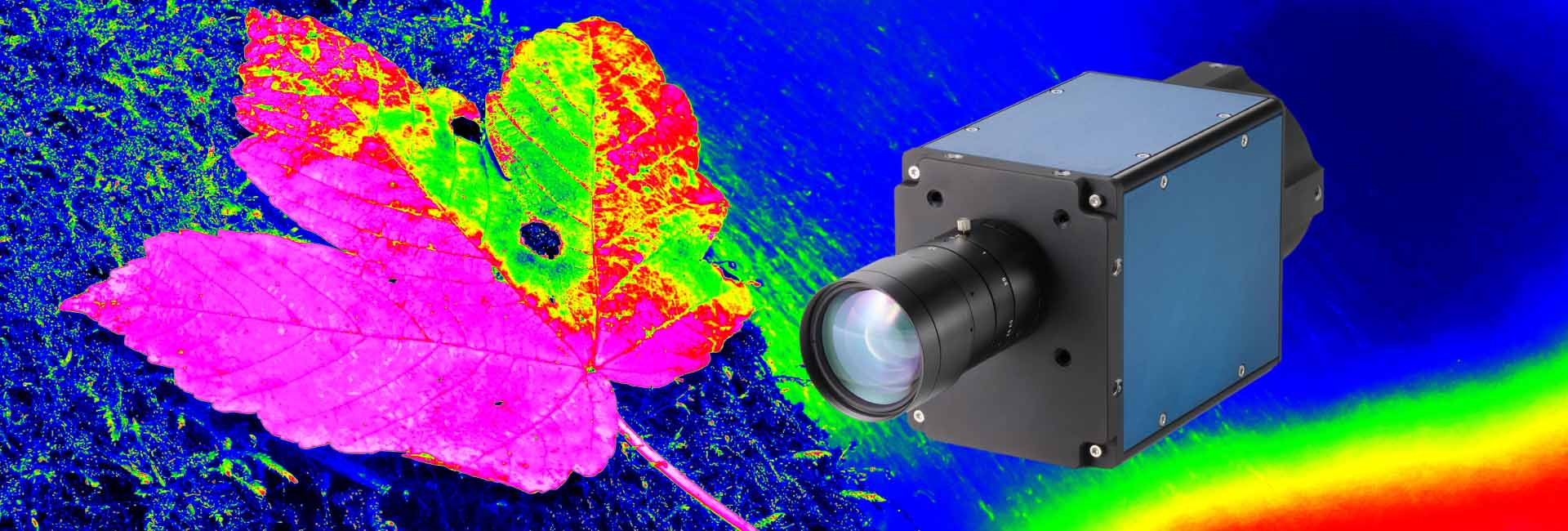 Teledyne DALSA Kaleido - Cam&eacute;ra hyperspectrale SWIR pour l&rsquo;inspection industrielle