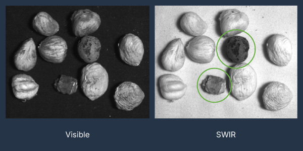 Food inspection and sorting with visible light and with SWIR using nuts and stones as an example