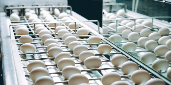 Application example food inspection