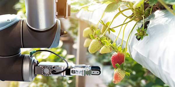 Machine Vision Application Example Mobile Robotics
