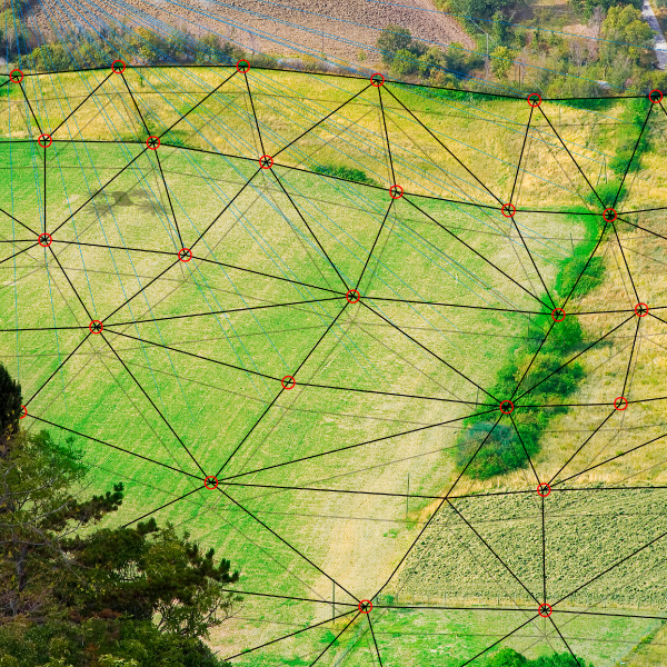 Machine Vision Market Metrology